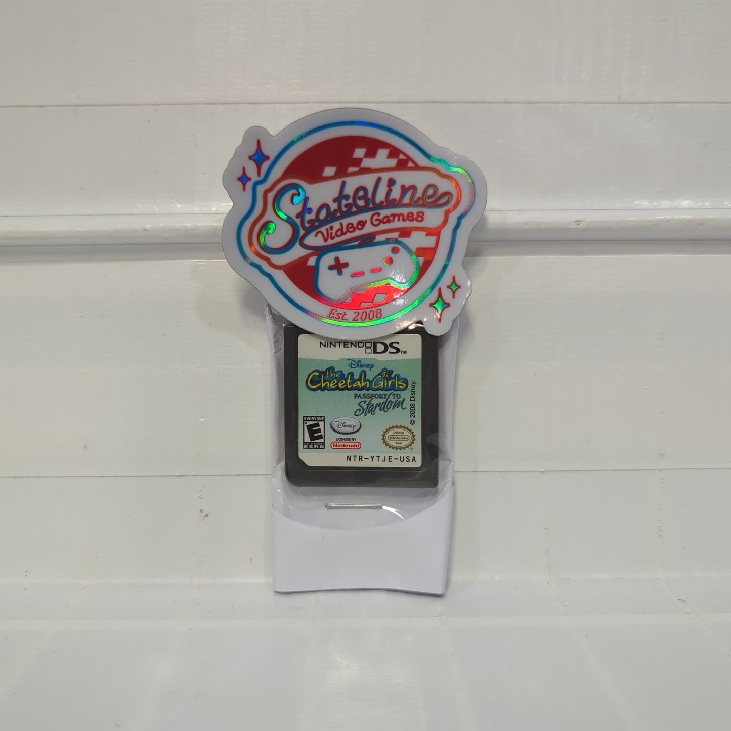 The Cheetah Girls Passport to Stardom - Nintendo DS