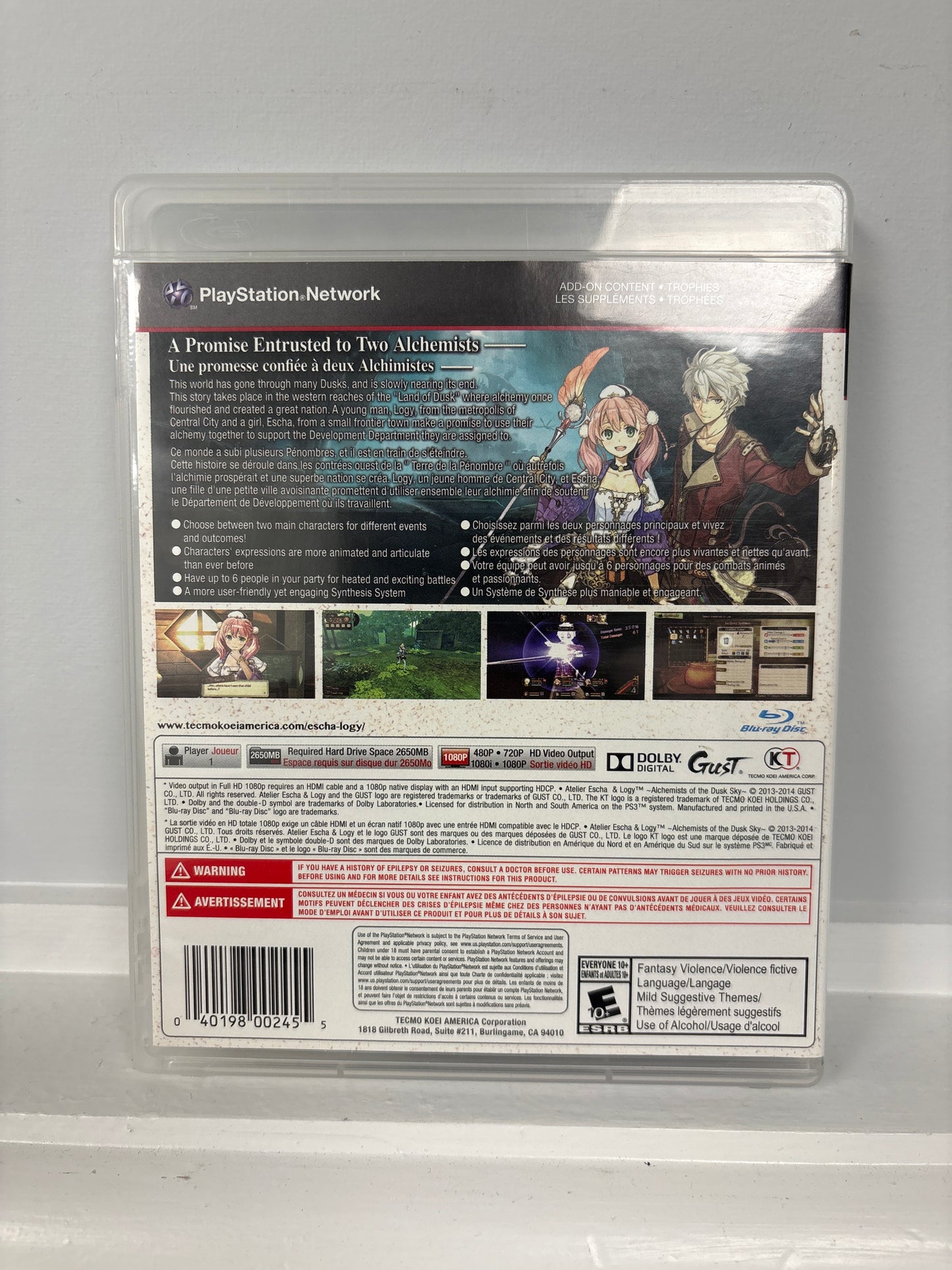 Atelier Escha & Logy: Alchemists of the Dusk Sky - Playstation 3