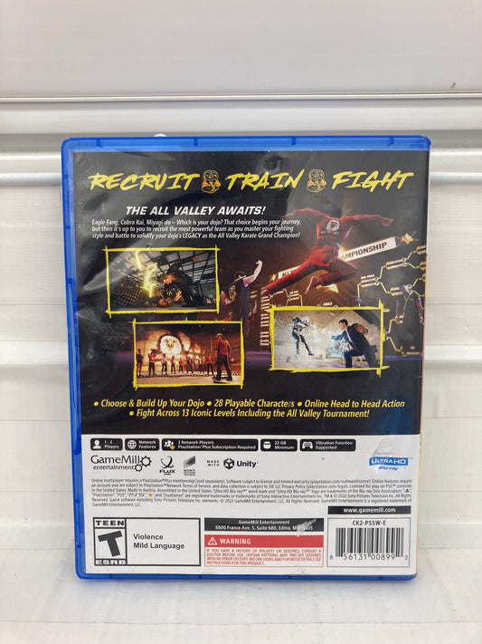 Cobra Kai 2: Dojos Rising - Playstation 5