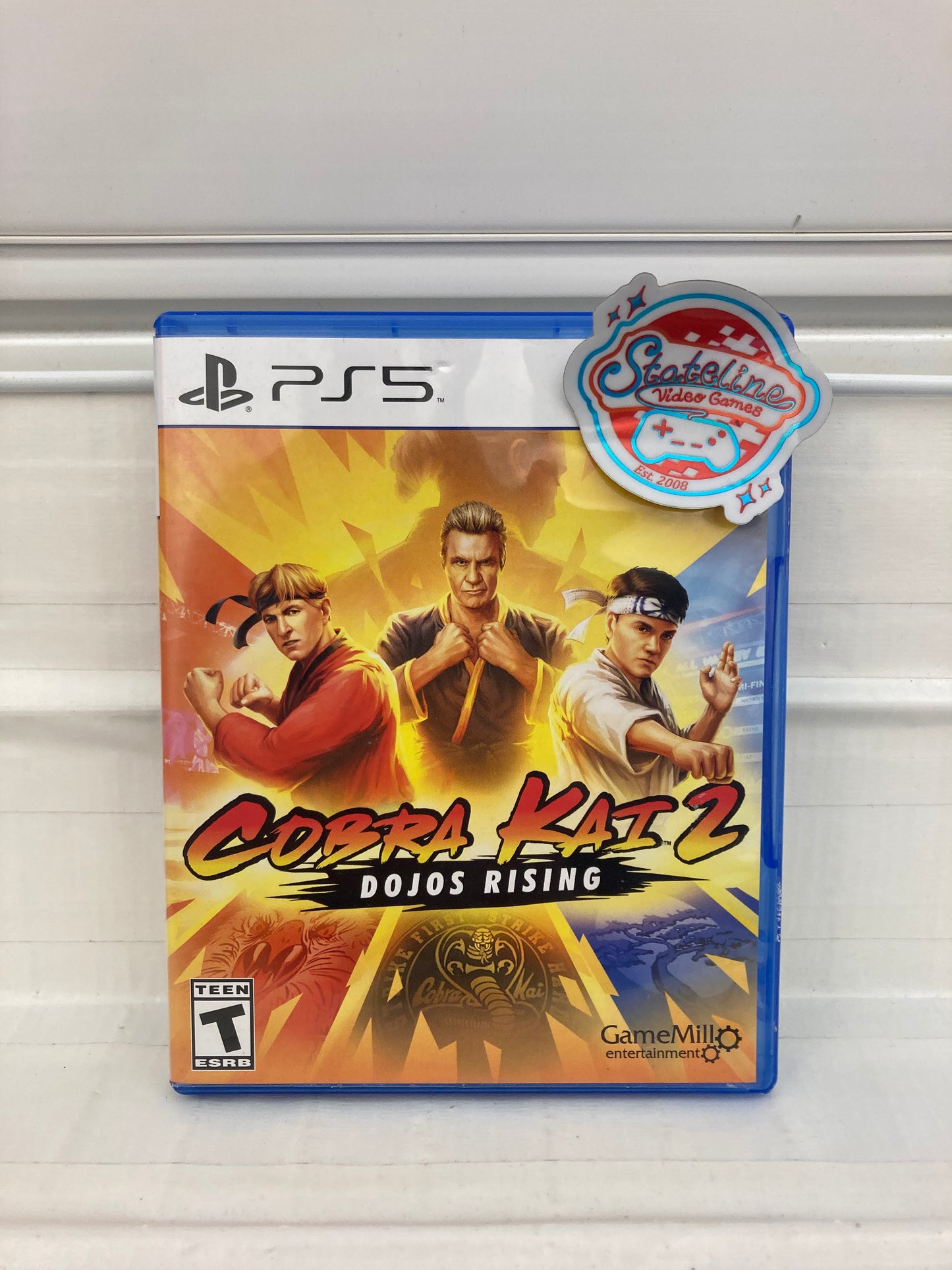 Cobra Kai 2: Dojos Rising - Playstation 5