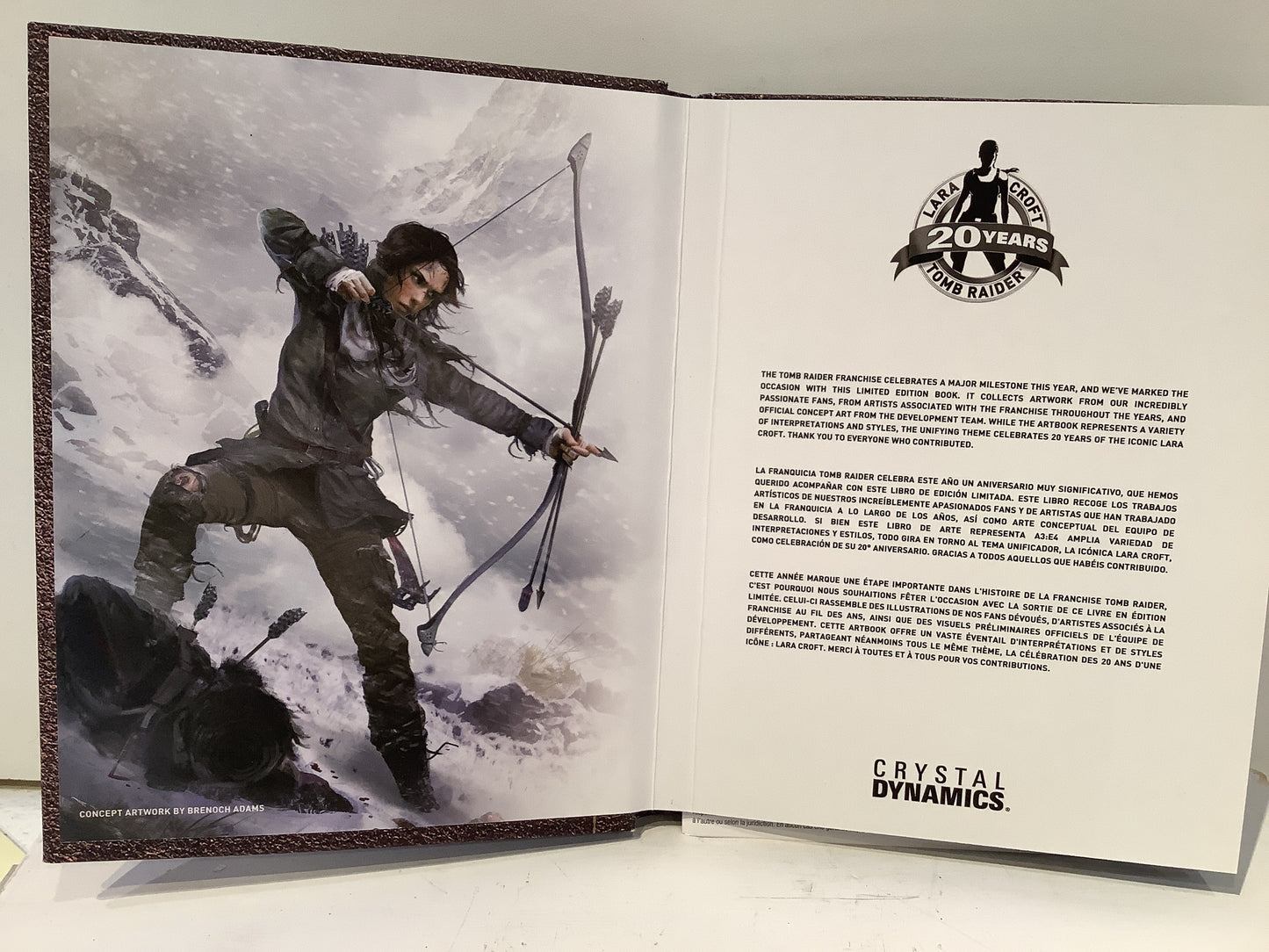 Rise of the Tomb Raider [Art Book Edition] - Playstation 4