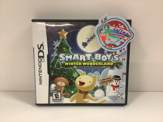 Smart Boy's Winter Wonderland - Nintendo DS