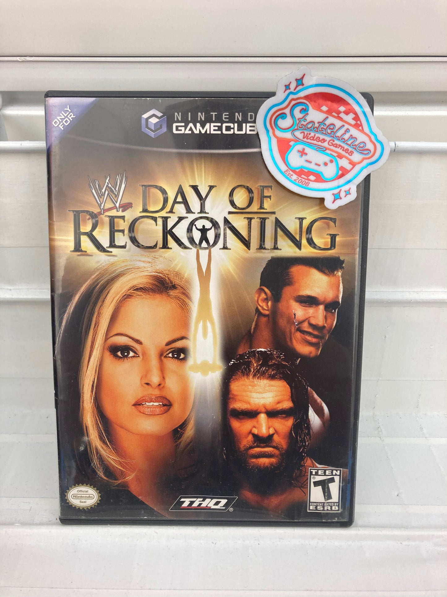 WWE Day of Reckoning - Gamecube